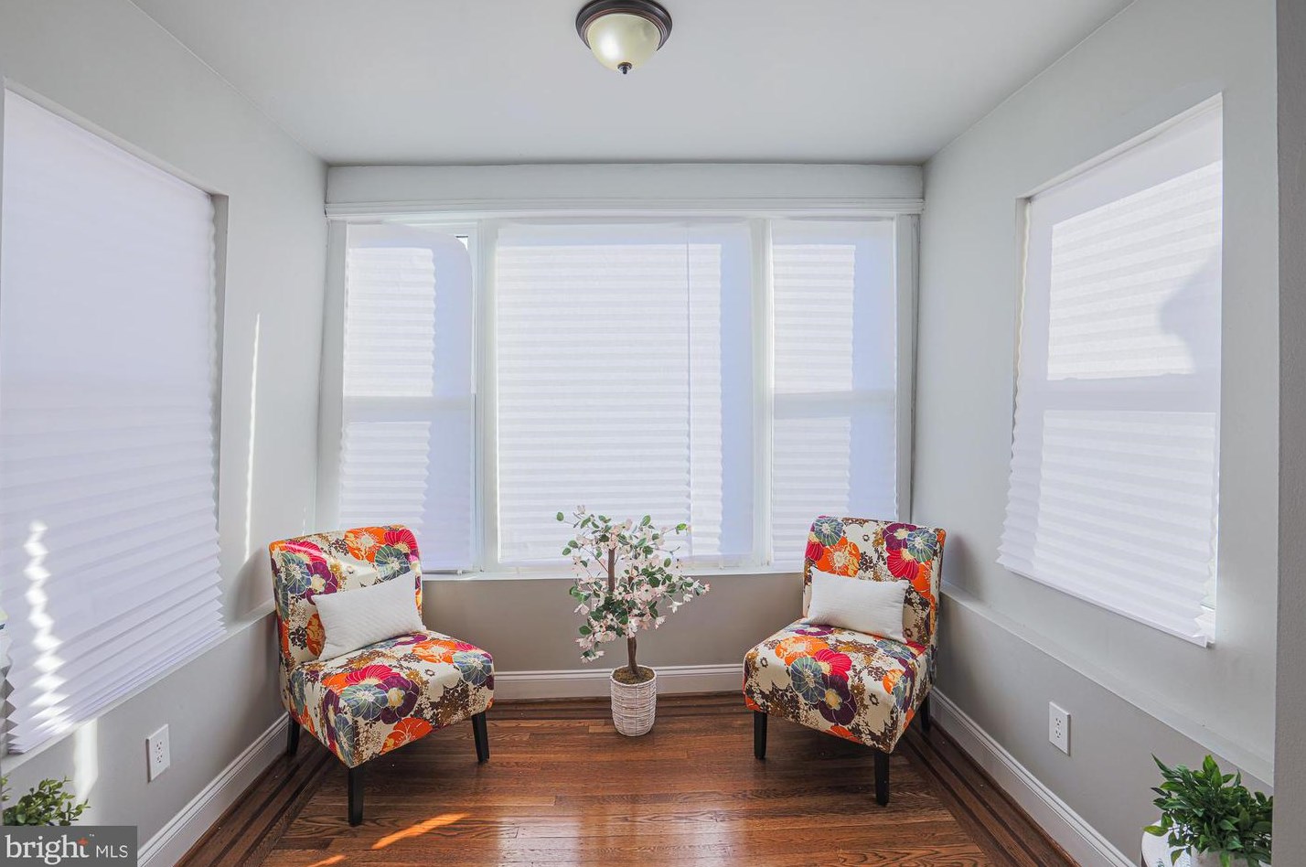 716 Richwood Ave, Baltimore MD  21212-4622 exterior