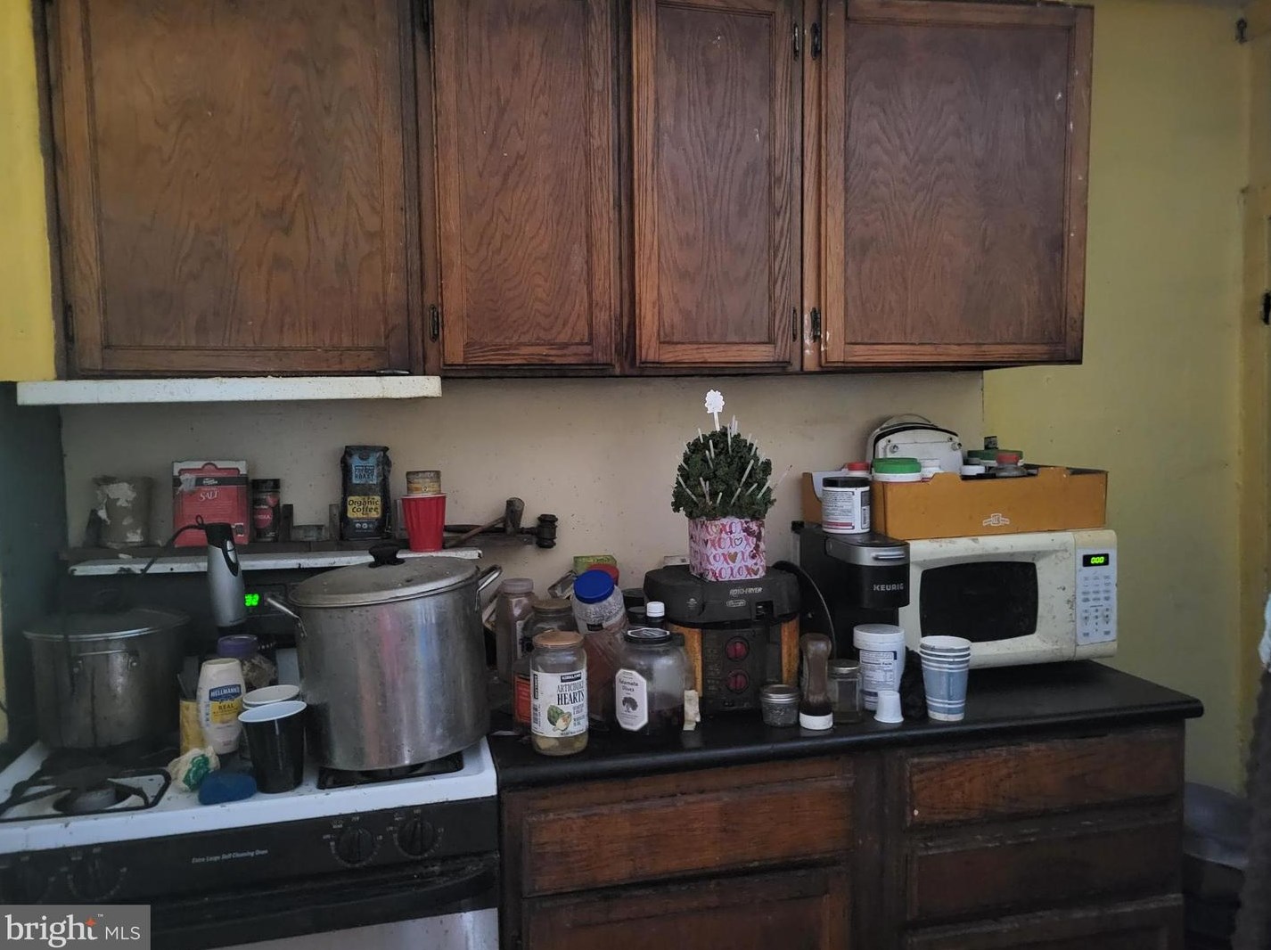 222 Bruce St, Baltimore MD  21225-3808 exterior