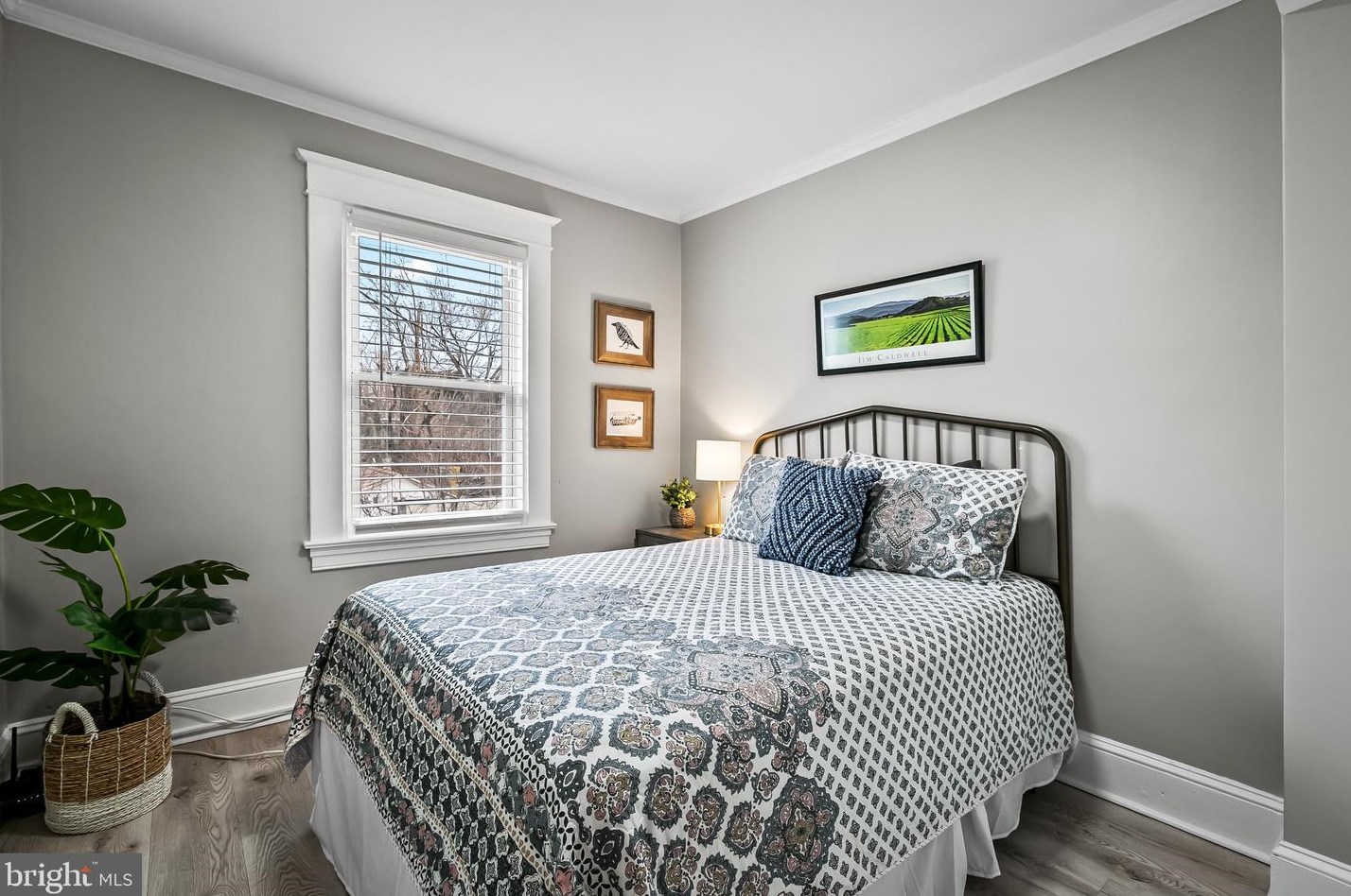 1123 Woodheights Ave, Baltimore MD  21211-1245 exterior