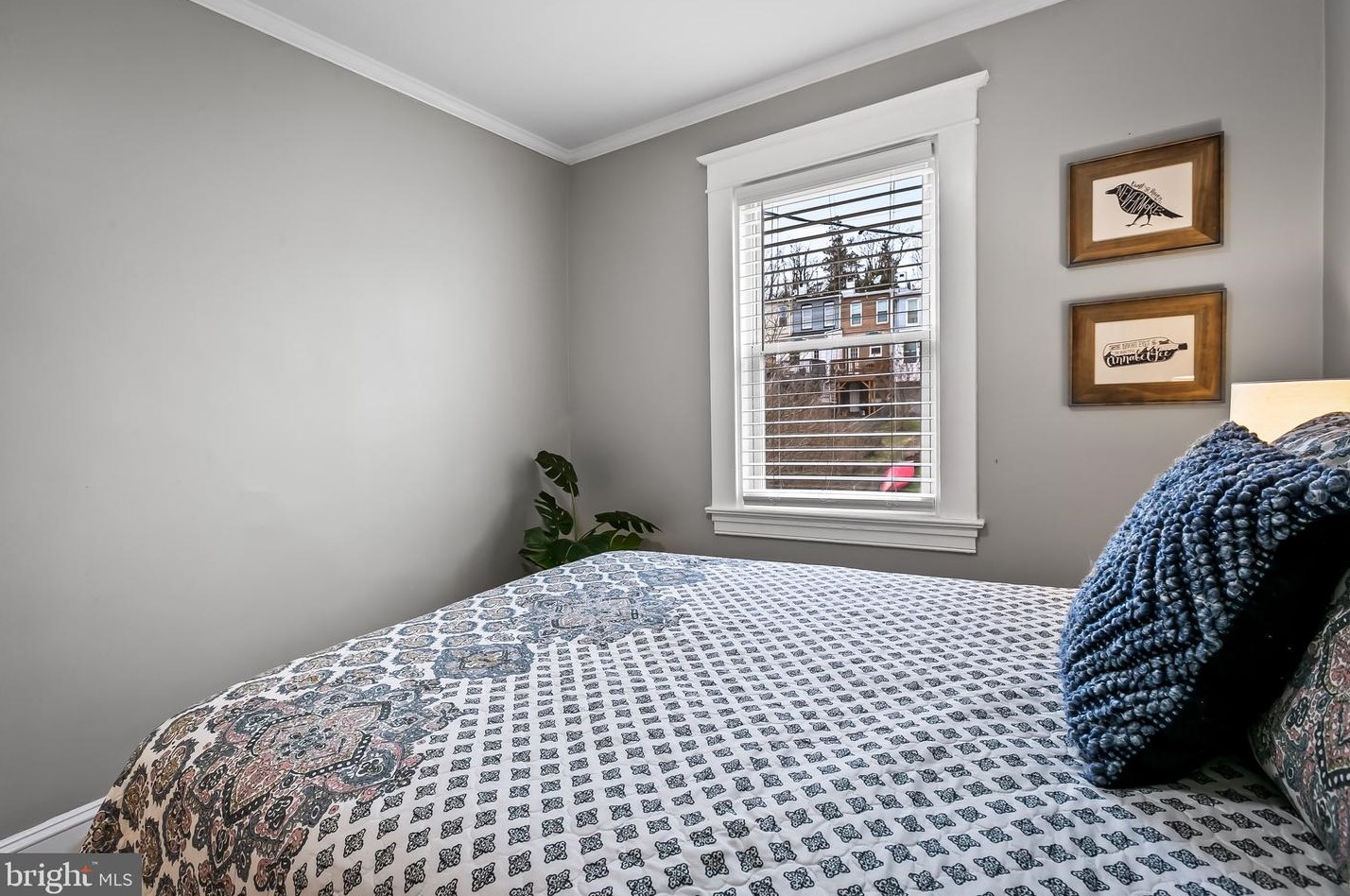 1123 Woodheights Ave, Baltimore MD  21211-1245 exterior