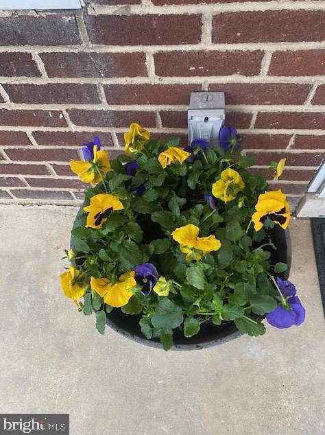 3404 Lyndale Ave, Baltimore MD  21213-1612 exterior