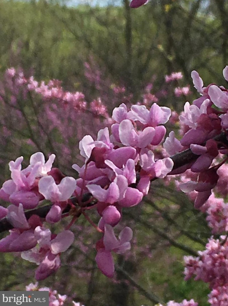 2518 Talbot Rd, Baltimore MD 21216-2032 exterior