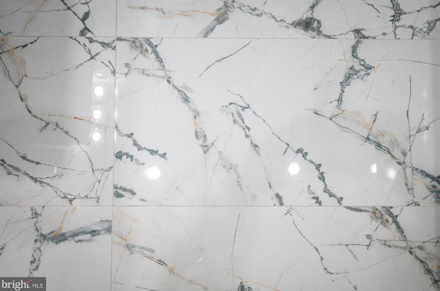 223 Linwood Ave, Baltimore MD  21224-1213 exterior