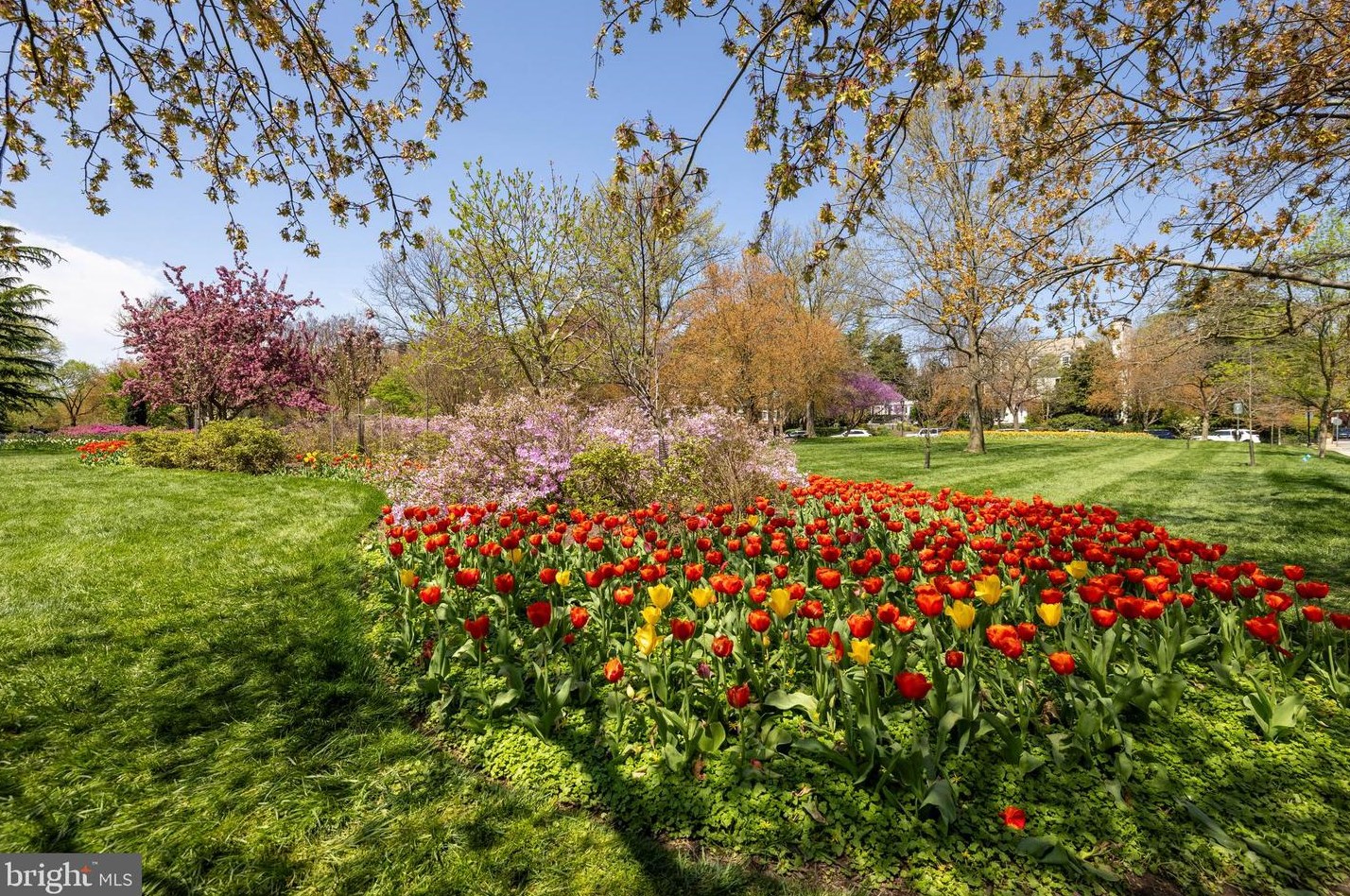 4420 Norwood Rd, Baltimore MD 21212-4101 exterior