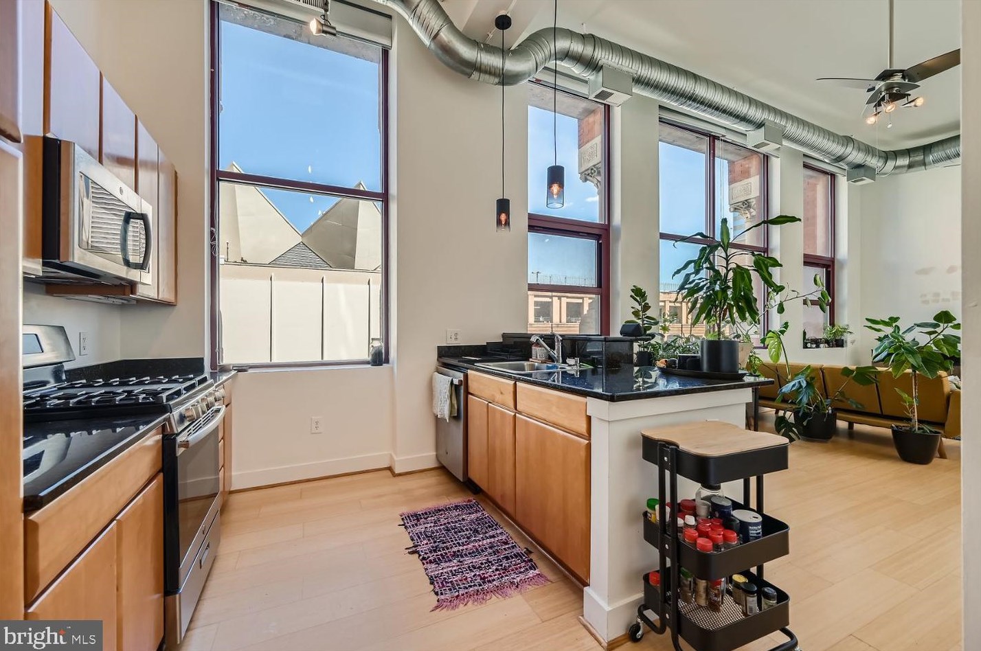22 Howard Street S #401, Baltimore, MD 21201