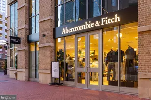 1330 Lancaster St, Baltimore, MD 21231 - Photo 100