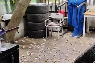 1928 Frederick Ave, Baltimore, MD 21223 - Photo 6