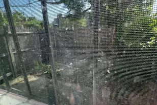 1025 N Carrollton Ave, Baltimore, MD 21217 - Photo 12