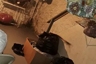 2207 W Lafayette Ave, Baltimore, MD 21216 - Photo 26