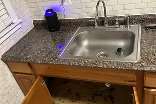 3203 Kenyon Ave, Baltimore, MD 21213 - Photo 10