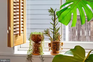 337 E Hamburg St, Baltimore, MD 21230 - Photo 14