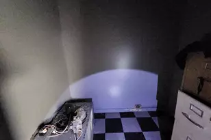 526 N Chester St, Baltimore, MD 21205 - Photo 20