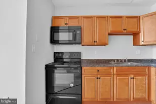 317 E North Ave, Baltimore, MD 21202 - Photo 10