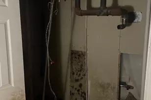 1803 N Warwick Ave, Baltimore, MD 21216 - Photo 16