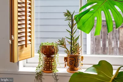 337 E Hamburg Street, Baltimore, MD 21230 - Photo 14