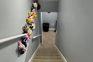 420 Maude Ave, Baltimore, MD 21225 - Photo 26