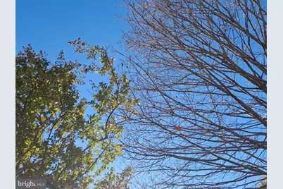 3804 Ridgecroft Road, Baltimore, MD 21206 - Photo 26