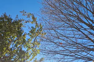 3804 Ridgecroft Rd, Baltimore, MD 21206 - Photo 26