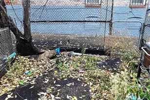 2925 E Madison St, Baltimore, MD 21205 - Photo 40