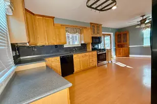 4419 Buena Vista Ave, Baltimore, MD 21211 - Photo 14