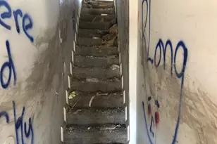 3514 Hayward Ave, Baltimore, MD 21215 - Photo 20