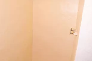 5627 Ready Ave, Baltimore, MD 21212 - Photo 22