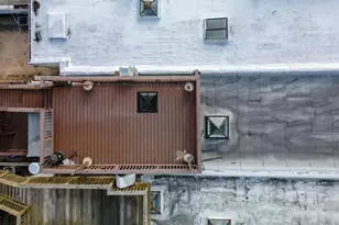 713 S Linwood Ave, Baltimore, MD 21224 - Photo 32