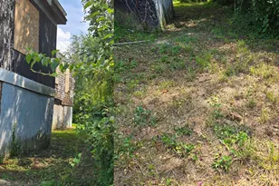 3305 Elgin Ave, Baltimore, MD 21216 - Photo 2