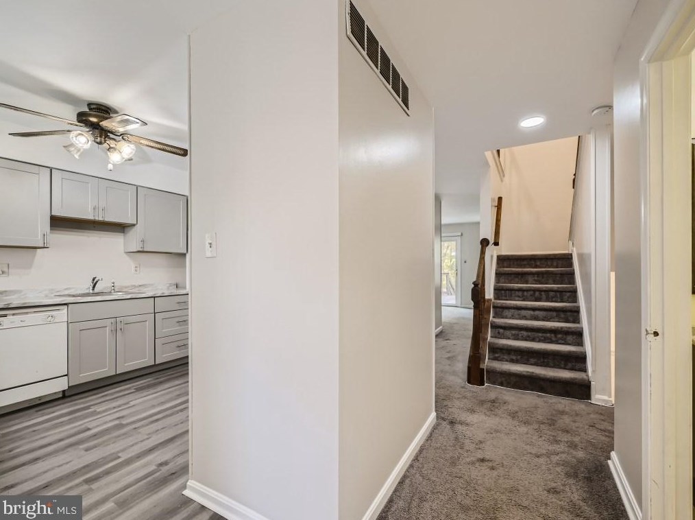 9503 Axehead Ct, Mcdonogh Run MD  21133-2602 exterior