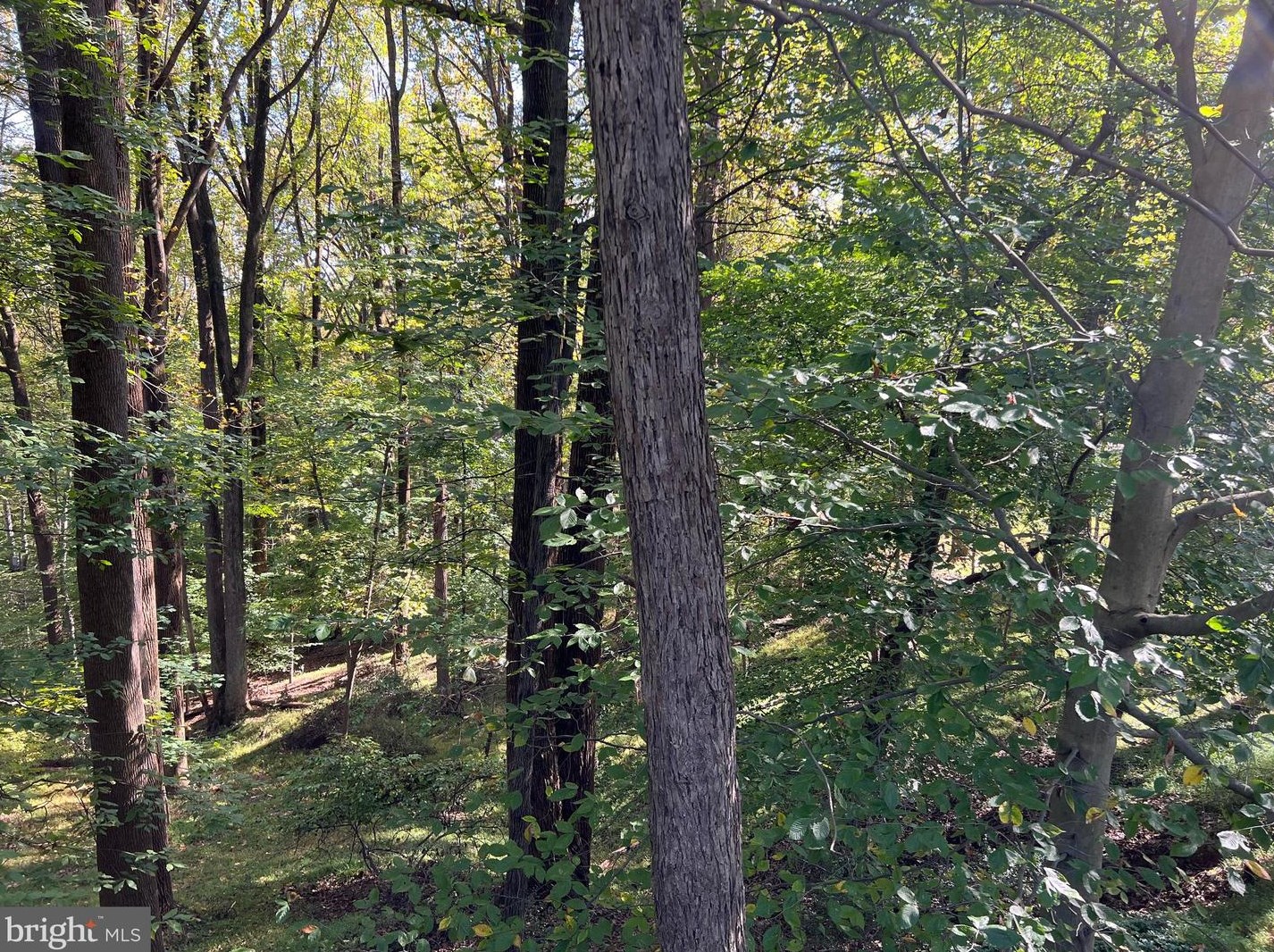 1103 High Country Rd, Baltimore MD 21286-1514 exterior