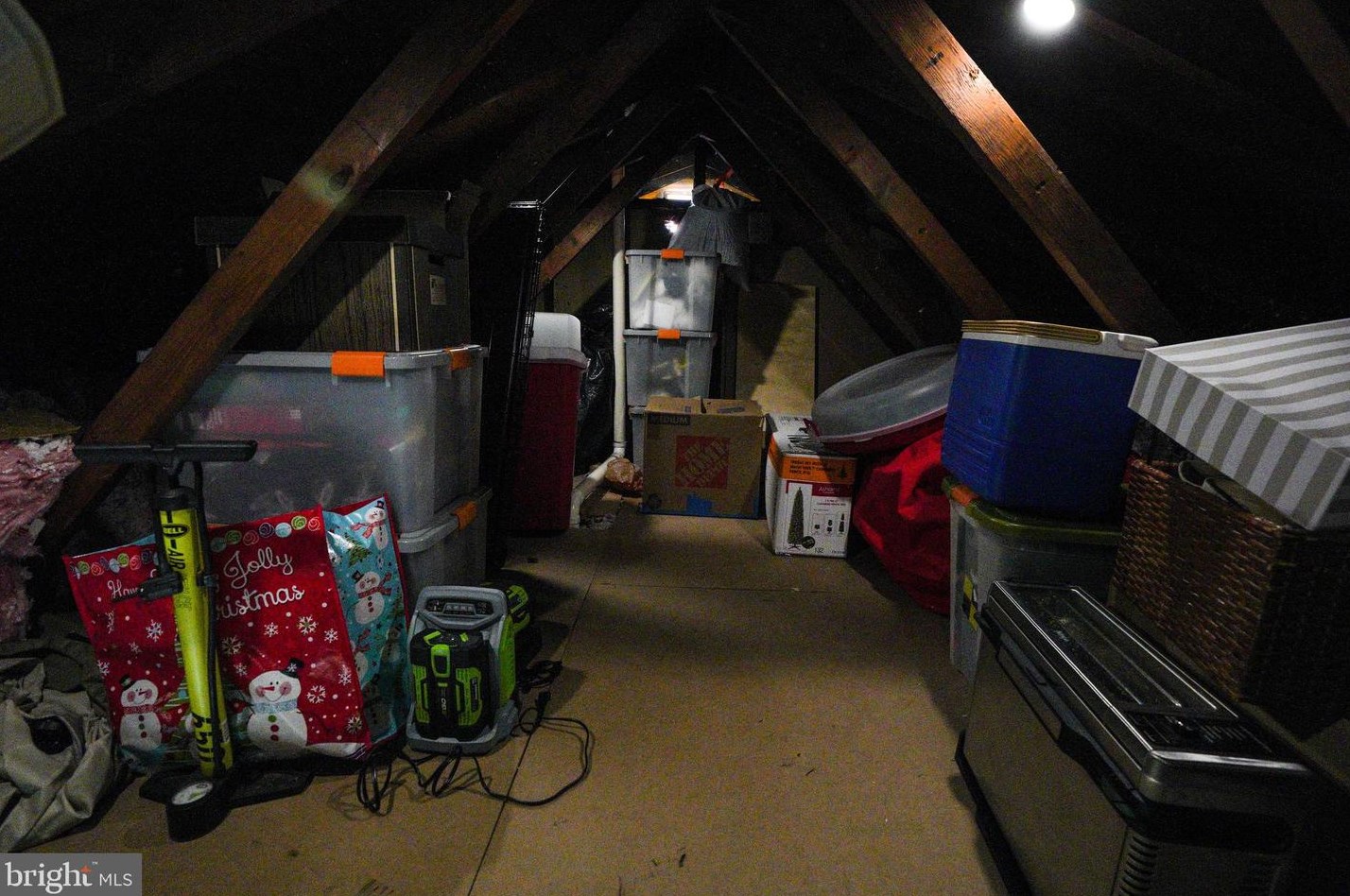 1254 Birch Ave, Baltimore MD  21227-2624 exterior