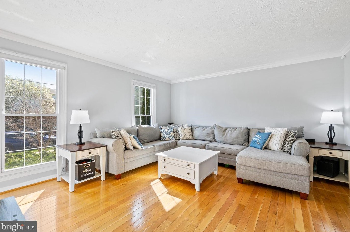 9318 Hines Estates Dr, Baltimore MD  21234-1319 exterior