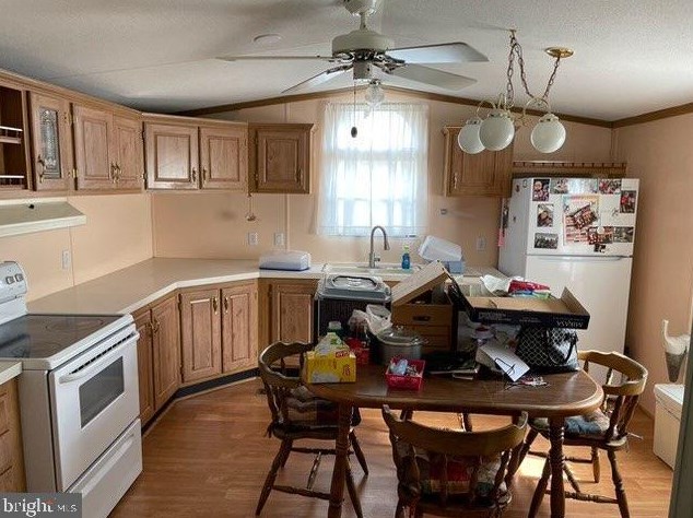 410 Stefan Ct, Baltimore, MD 21222-2858