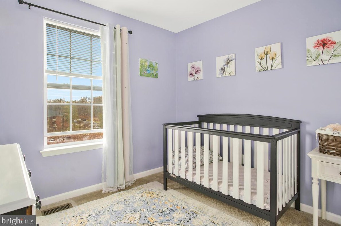 9336 Silver Charm Dr, Mcdonogh Run MD  21133-4610 exterior