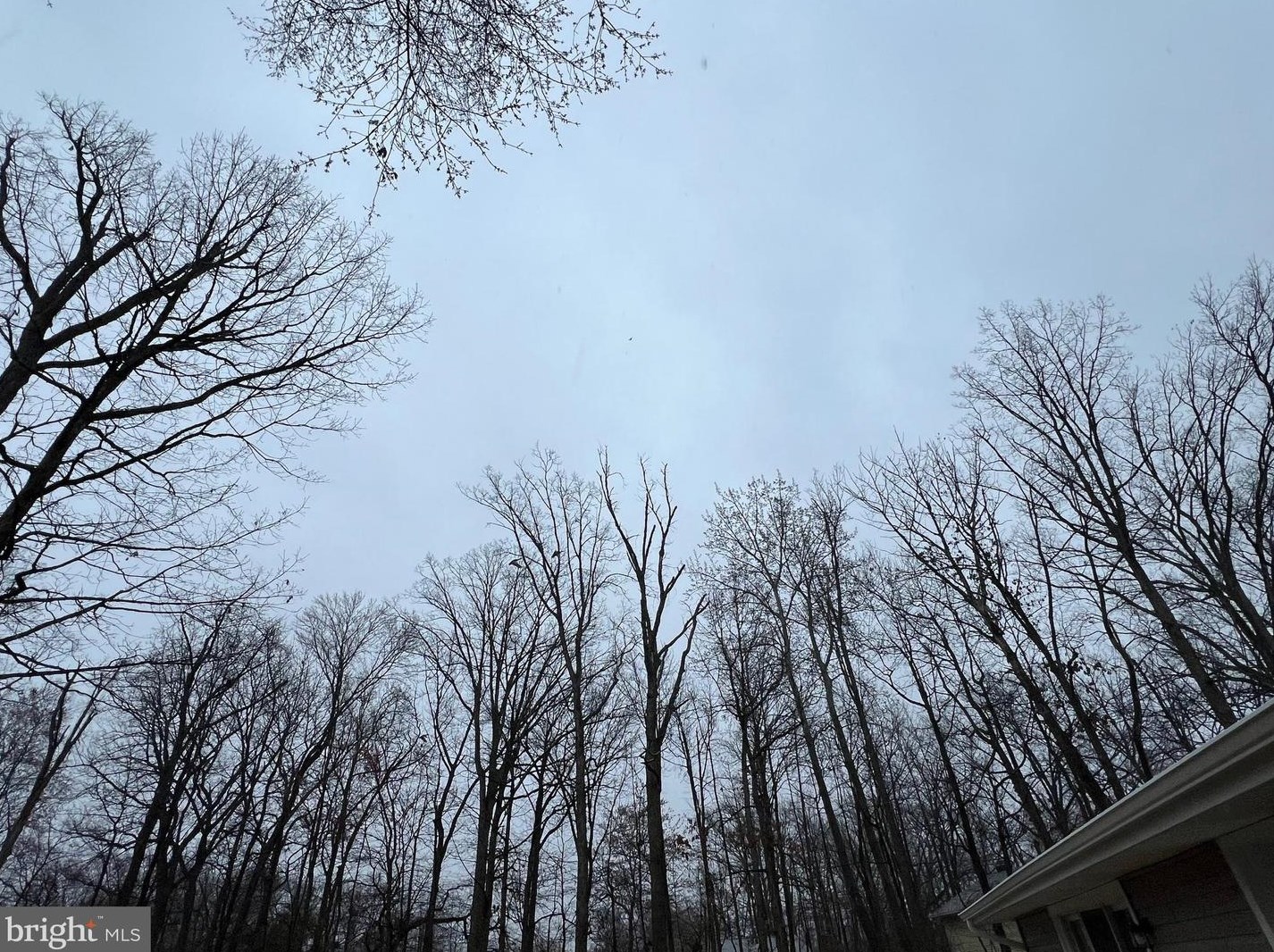 1419 Maple Ave, Baltimore MD  21221-6030 exterior