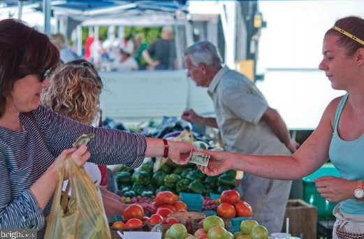 1602 Idlewilde Ave, Baltimore MD 21228-5605 exterior