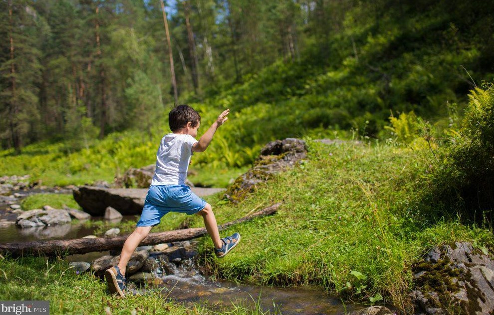 1602 Idlewilde Ave, Baltimore MD 21228-5605 exterior