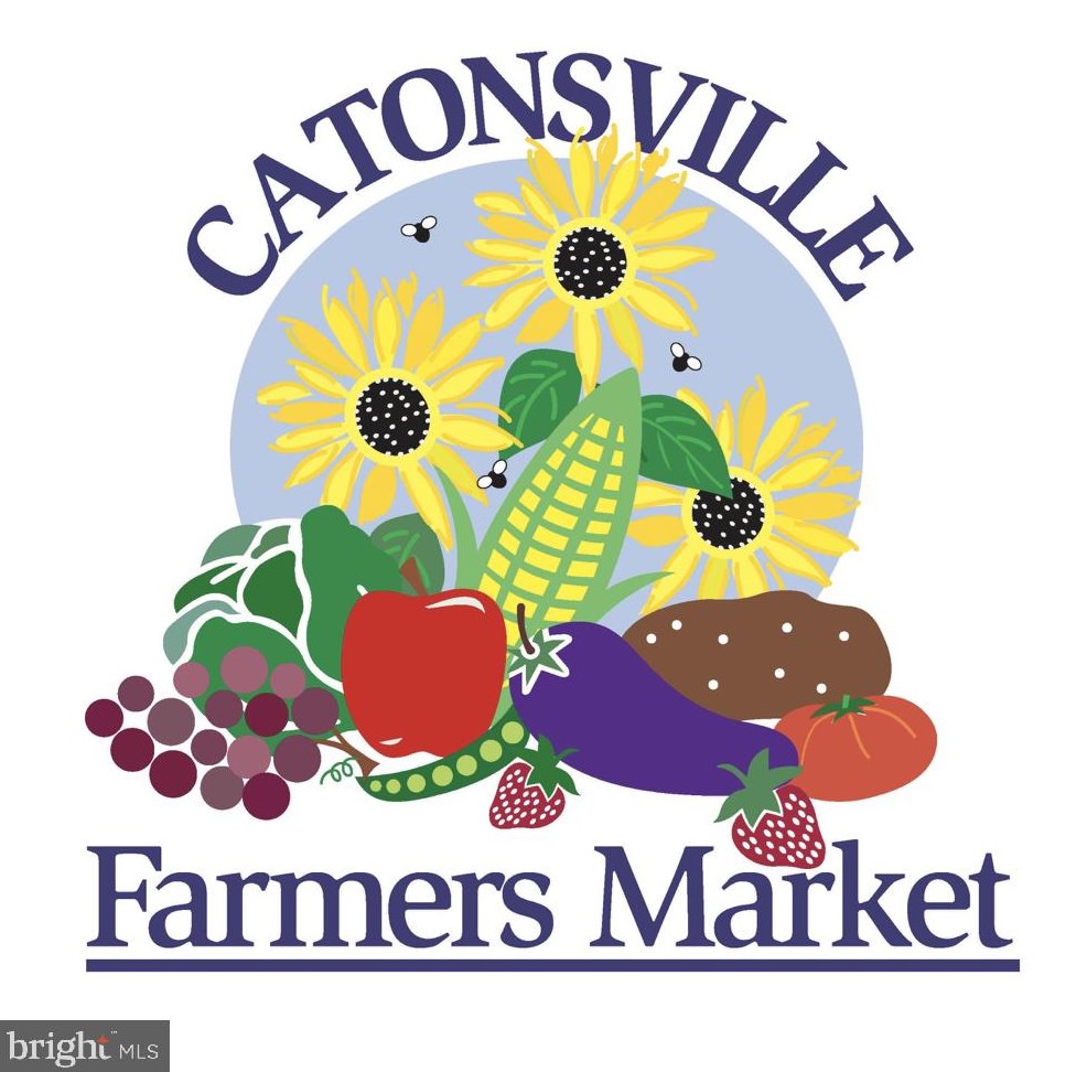 301 Roanoke Dr, Baltimore MD 21228-4243 exterior