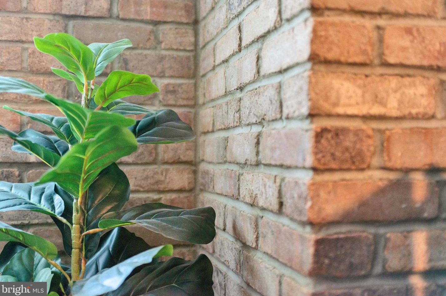 1005 Francis Ave, Baltimore MD 21227-3911 exterior