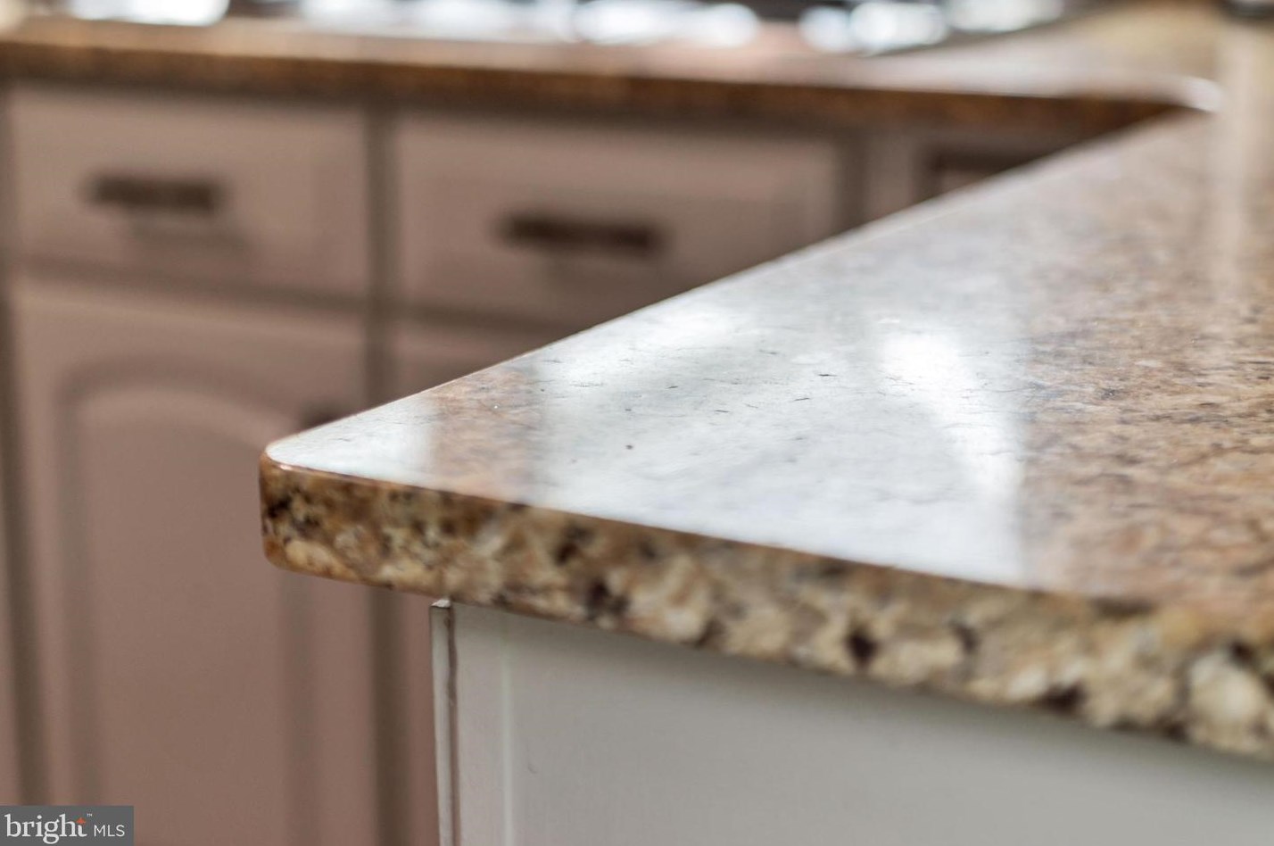 1005 Francis Ave, Baltimore MD 21227-3911 exterior