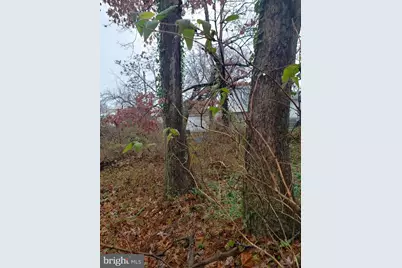 John Ave, Baltimore, MD 21221 - Photo 6