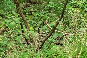 John Ave, Baltimore, MD 21221 - Photo 1