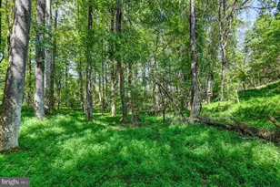 14490 Western Rd, Sparks Glencoe, MD 21152 - Photo 24