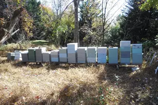 607 Church Rd, Reisterstown, MD 21136 - Photo 34