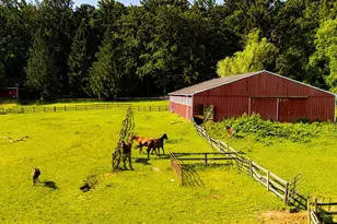 2101 Tufton Ave, Reisterstown, MD 21136 - Photo 122