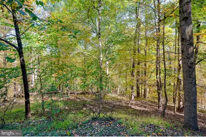 3904 Log Trail Way, Reisterstown, MD 21136 - Photo 20