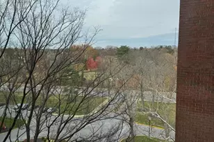 11 Slade Ave, Baltimore, MD 21208 - Photo 34