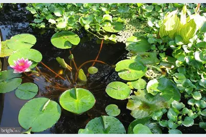 6104 Bellinham Court #812, Baltimore, MD 21210 - Photo 12