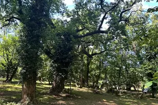 605 Upland Rd, Pikesville, MD 21208 - Photo 24