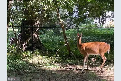 605 Upland Road, Pikesville, MD 21208 - Photo 30